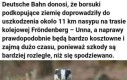 Nie zadzieraj z borsukiem