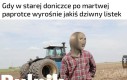 Nawet mnie nie ugryzł…AŁA