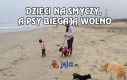 Dzieci na smyczy, a psy biegają wolno