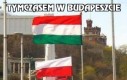Tymczasem w Budapeszcie