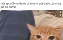 Zwykle gdy zaczynają się rozmowy o polityce