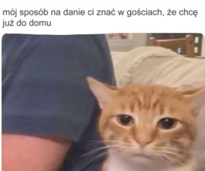 Zwykle gdy zaczynają się rozmowy o polityce