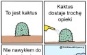 Kaktusy tak mają