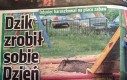 Dzik też człowiek, a więc i dziecko