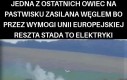 Ach te dyrektywy
