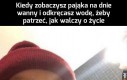 Walcz o życie