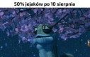 10.08.2026