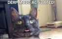Derp mode activated!