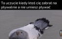 Pływanie