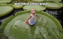 Wiktoria Królewska i jej liście