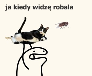 Do boju Puszek