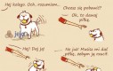 A psy się zastanawiają czemu czasem udajemy, że rzucamy piłkę...