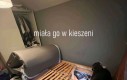 Sam jesteś uzależniony