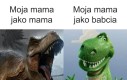 Zwykle tak jest