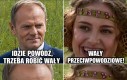 No domyśl się ślicznotko