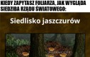 Wiedziałem!