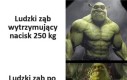 Mam dość szefie