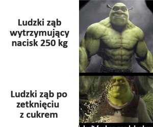 Mam dość szefie