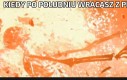 Kiedy po południu wracasz z pracy