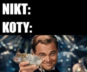 Częstuj się bracie