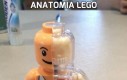 Anatomia Lego