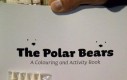 Pokoloruj misia polarnego