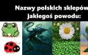Coś tu nie pasuje hmm