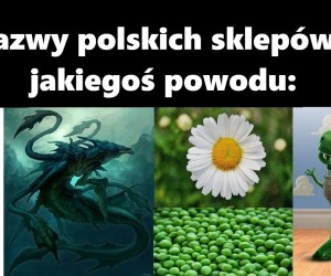 Coś tu nie pasuje hmm