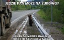 Jedzie pan może na Żukowo?