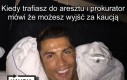 Wolność i swoboda