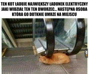Nie dotykać!