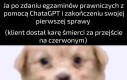 Dobra robota