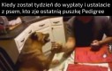 Niech wygra najlepszy