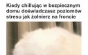 Nie polecam stanów lękowych