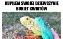 Czy tam gadów, nie wiem...