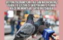 Nietolerancja się szerzy