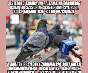 Nietolerancja się szerzy