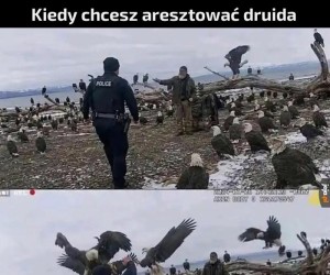 Trzy orły dla ostrzeżenia