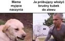 Ostrożnie...
