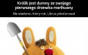 Do czegoś się jeszcze Librus przydaje...