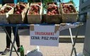 Zaczyna się sezon