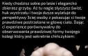Na Ozyrysa i na Apisa