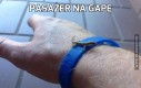 Pasażer na gapę