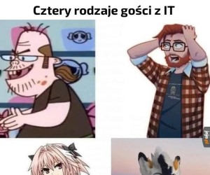 IT w pigułce