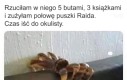 Wada wzroku to nie przelewki