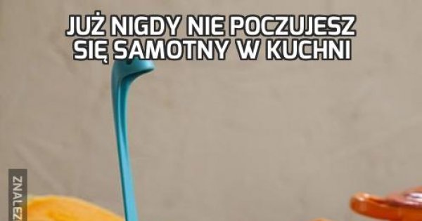 Ju Nigdy Nie Poczujesz Si Samotny W Kuchni Jeja Pl