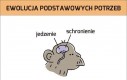 Ewolucja potrzeb życiowych