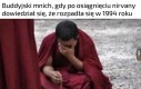 Wokaliście coś strzeliło do głowy