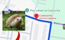 Mem ma na celu kogoś urazić