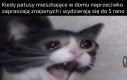 Ciszej!